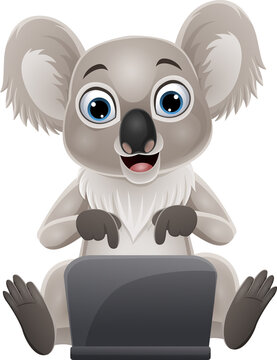 21 621 Best Baby Koala Images Stock Photos Vectors Adobe Stock