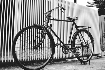 Fototapeta na wymiar vintage bicycle photo. old-school concept photography 