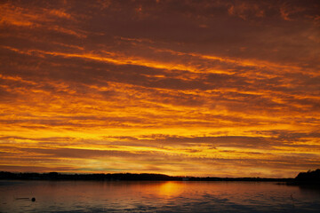 Fototapeta premium View on a beautiful lake in denmark scandinavia