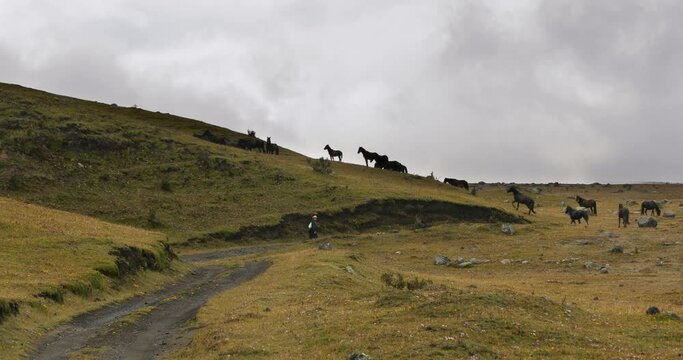 Walking the trail in the Andes