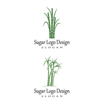 Sugar cane Logo Template vector symbol nature