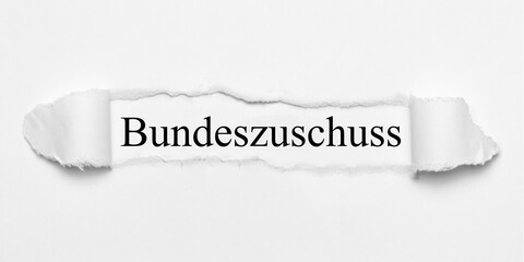 Obraz premium Bundeszuschuss