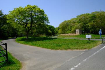 茨城県にある国営ひたちなか海浜公園でネモフィラが満開に咲き誇っていた風景を中心に一コマづつ納めました。