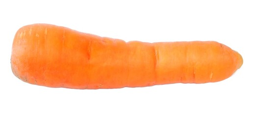 Carrot isolated on white background
