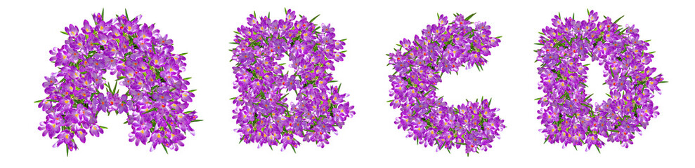 Naklejka premium Letters A, B, C, D from lilac violets