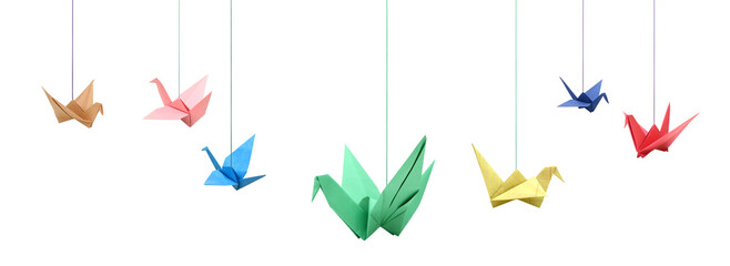 Assorted of colorful origami birds hanging on white - obrazy, fototapety, plakaty