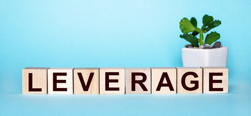 The word LEVERAGE is written on wooden cubes near a flower in a pot on a light blue background