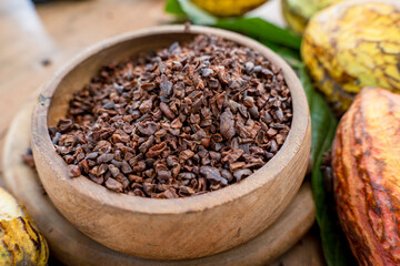 Cacao pods cocoa pods organic chocolate farm Thailand, Cacao Thailand pods, Fresh cocoa pod cut exposing cocoa seeds, with a cocoa plant in Thailand, Macro of Cocoa pods