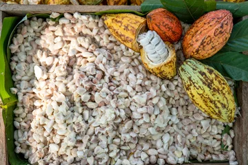 Deurstickers Temperature measurement of cocoa beans fermented in wooden barrels, to maintain the quality of cocoa flavor, Cocoa beans are fermented in a wooden box to develop the chocolate flavor. © aedkafl