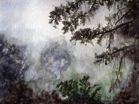 Bosco tenebroso e misterioso, illustrazione ad acquerello