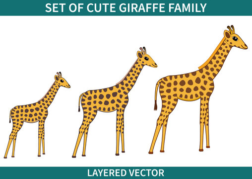 Set of cute cartoon giraffe family vector illustration isolated on white background. Hand drawn mother and baby giraffes. Layered Eps 10 file.