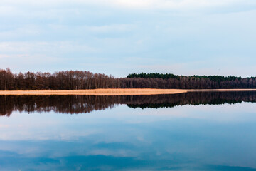 Widok na las odbity w spokojnym cichym jeziorze 