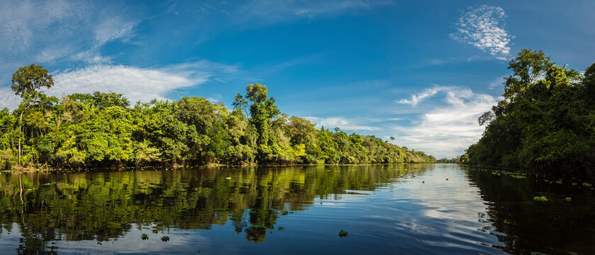 Landscapes of the Peruvian Amazon Rainforest