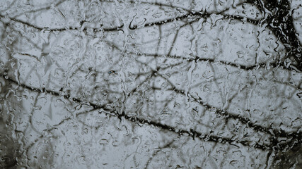 Raindrops close up selective focus on a car with heated windshield with blurred bokeh trees, branches and sky. 