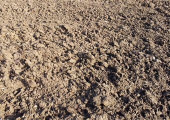 Organic and mineral structure of plants and soil containing humus in detail