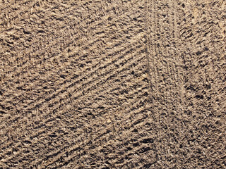 Organic and mineral structure of plants and soil containing humus in detail