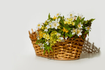 spring flowers in a basket