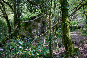 Old mill, abandoned and in ruins, in a forest with a stream