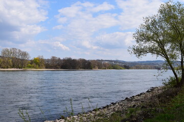 Rheinufer bei Koblenz