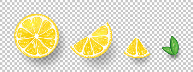 Lemons. Fresh citrus, half sliced lemons and chopped lemon. Vector illustration