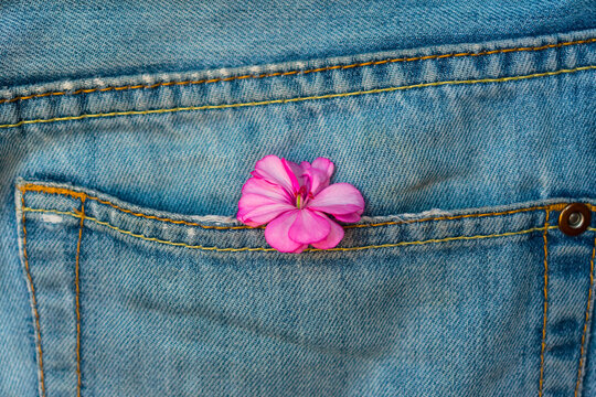 blue jeans with red flower,flower in korman jeans, background, texture