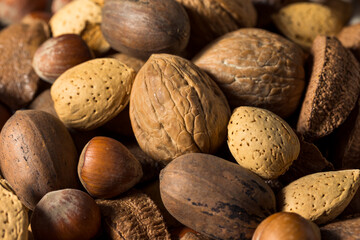 Raw Brown Organic Mixed Nuts