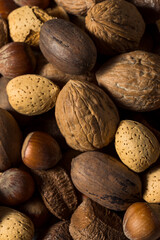 Raw Brown Organic Mixed Nuts