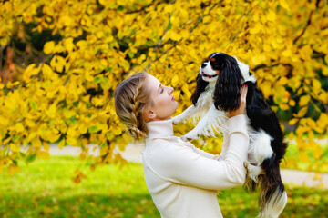 The King Charles Spaniel dog and the owner walk in the warm autumn against the background of yellow leaves. A pet in the arms of a woman.
