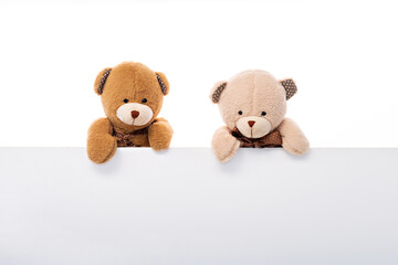 Two cute teddy bears on a white background