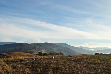 Obraz premium landscape with sky