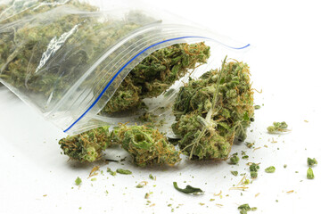 Cannabis in open small plastic bag on a white background. Medical marijuana scattered on the table....