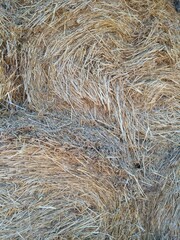 straw bale background