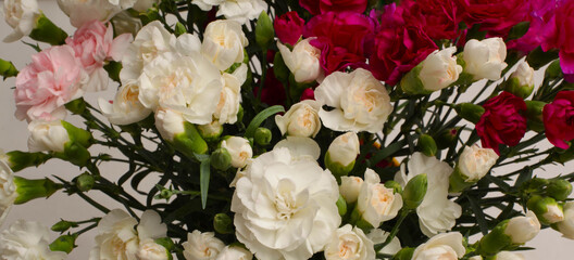 Carnations Flower bouquet background.