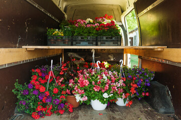 Potted flowers transported in a van to be sold at a farmers market