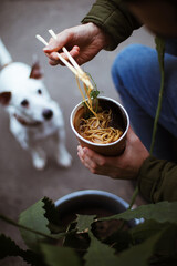 takeaway noodles. noodles in a disposable bowl. lunch outside. dog on a blurred background