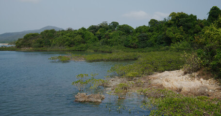 Yim Tin Tsai in Sai Kung