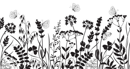 Seamless Border with Wild Flowers and Butterflies - 429062853