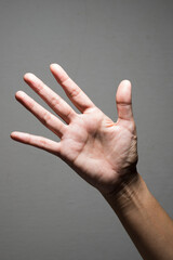Female hand showing five fingers on grey background.