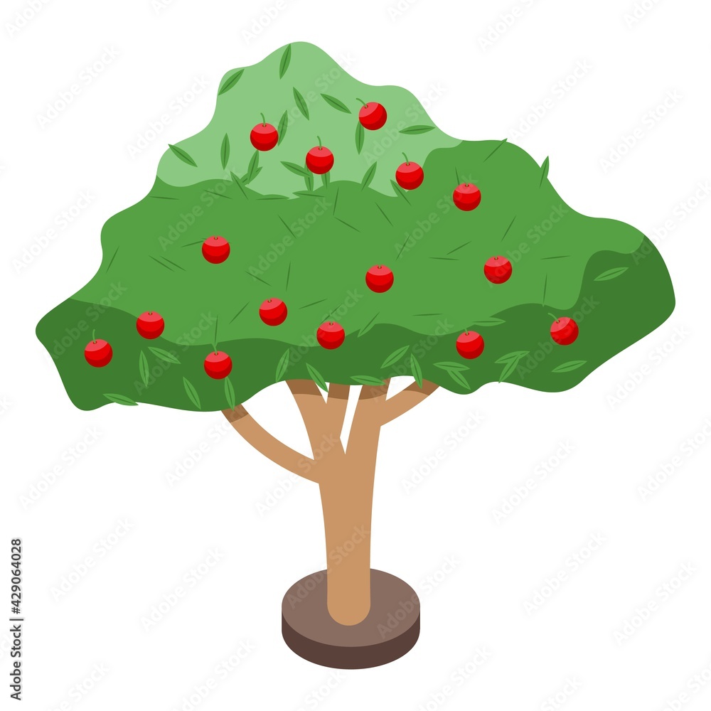 Poster apple fruit tree icon. isometric of apple fruit tree vector icon for web design isolated on white ba