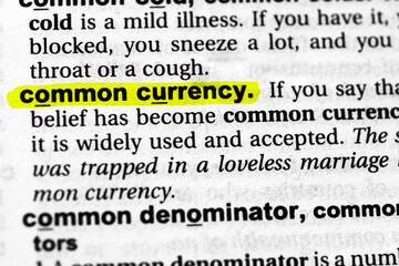 Highlighted word common currency concept and meaning