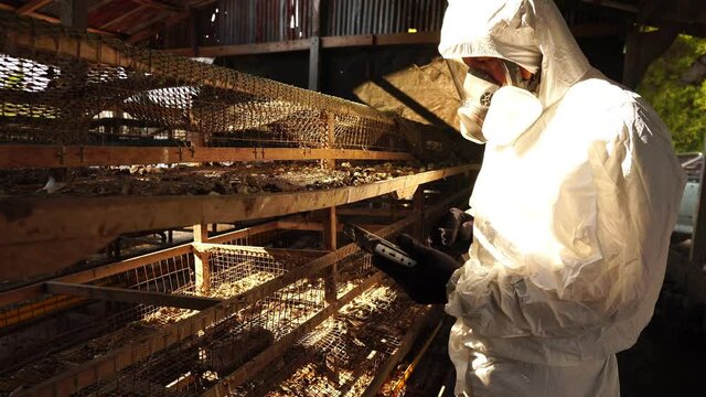 Officials inspect the area of ​​the building for contaminants