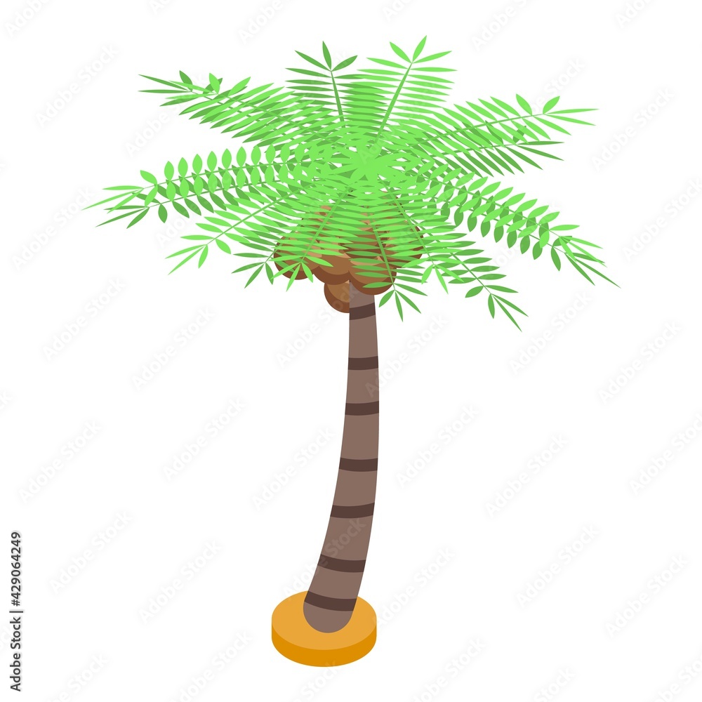 Aufkleber palm fruit tree icon. isometric of palm fruit tree vector icon for web design isolated on white back