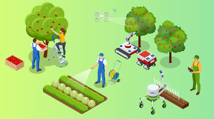 Isometric apple orchard, ripe fruits hanging on branch. Assembling the harvest of apples. Orange products. Organic Fresh Products, Premium Quality