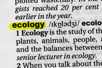 Highlighted word ecology concept and meaning.