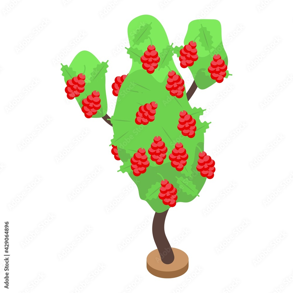 Poster red berry fruit tree icon. isometric of red berry fruit tree vector icon for web design isolated on 