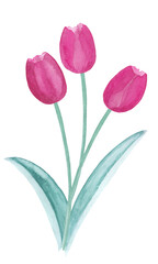 Obraz premium Spring tulips bouquet, abstract watercolor free-hand illustration for postcard, invitation, banner