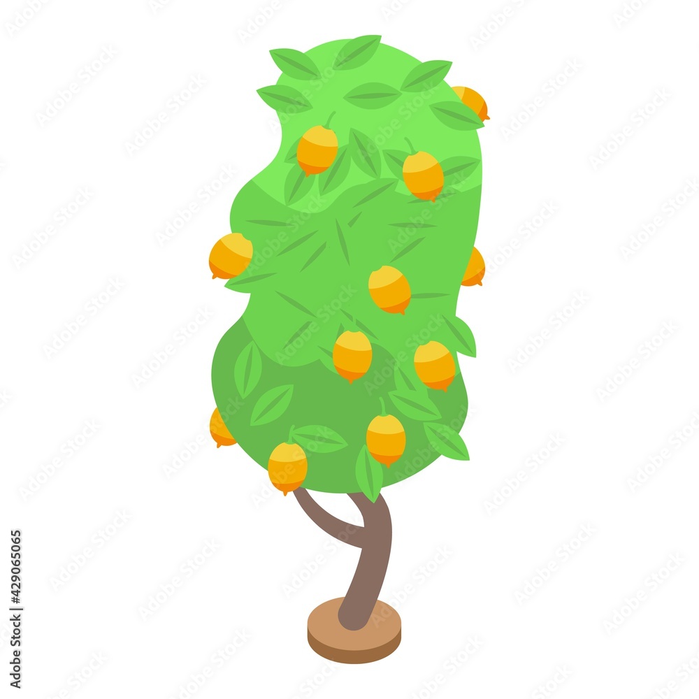 Poster lemon fruit tree icon. isometric of lemon fruit tree vector icon for web design isolated on white ba
