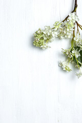 White wood plank texture for background with flowers