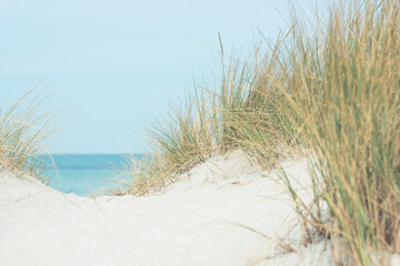 Baltic sea dunes over blue coastline background