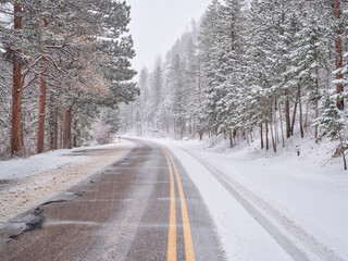 Fototapeta premium winter travel in Colorado Rocky Mountains - highway in Poudre Canyon in a heavy early spring snowstorm